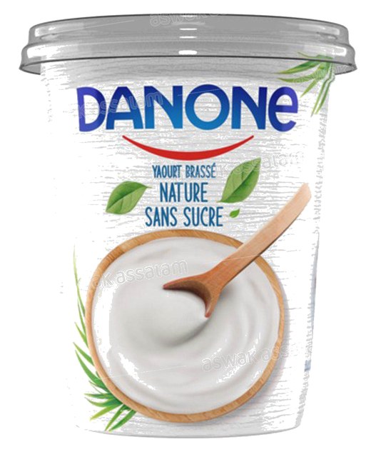 YAOURT NATURE 480G DANONE