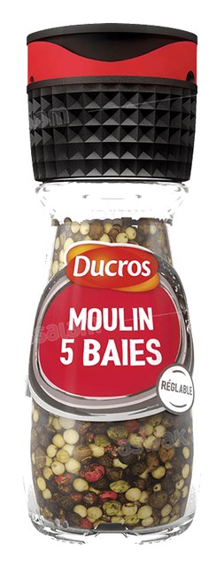MOULIN 5 BAIES 24G DUCROS