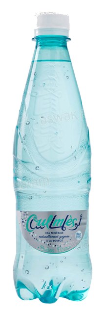 EAU GAZEUSE LEGERE 50CL OULMES