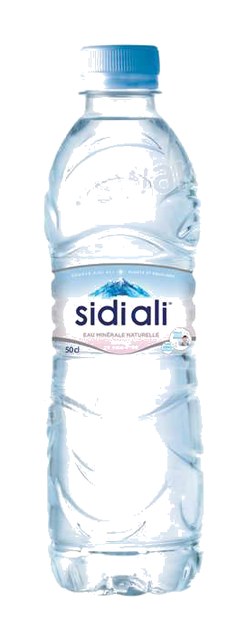 EAU MINERALE NATURELLE 50CL SIDI ALI