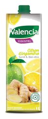 NECTAR CITRON GINGEMBRE 1L VALENCIA ESSENTIEL
