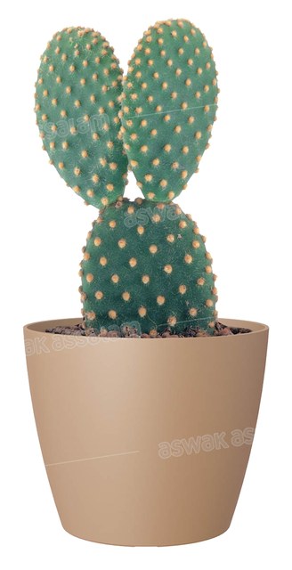 POT DE FLEURS BEIGE 14CM SAN REMO