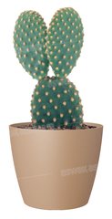 POT DE FLEURS BEIGE 14CM SAN REMO
