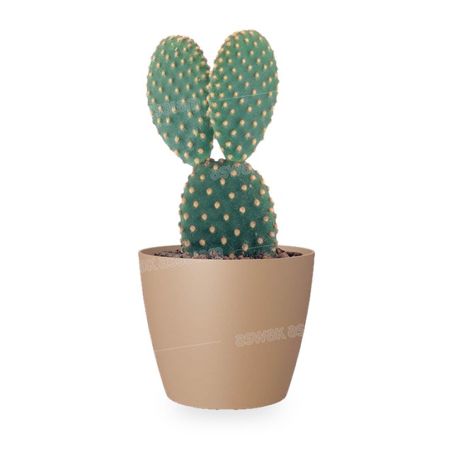 POT DE FLEURS BEIGE 9CM SAN REMO