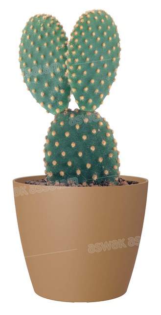 POT DE FLEURS JAUNE MOUTARDE 16CM SAN REMO